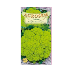 SEMINTE CONOPIDA MACERATA GREEN 0,8GR - MS