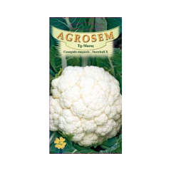 SEMINTE CONOPIDA SNOWBALL 0,8GR - MS