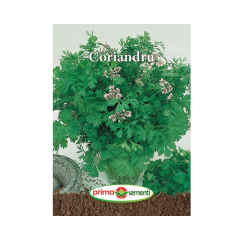 SEMINTE CORIANDRU 5GR - PS