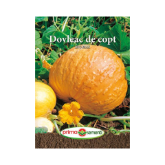 SEMINTE DOVLEAC DE COPT BIG MAX 3GR - PS