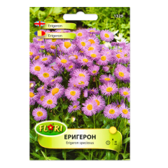 SEMINTE ERIGERON - FL
