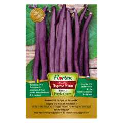 SEMINTE FASOLE DE GRADINA PITICA PURPLE QUEEN 50GR - FL