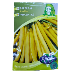 SEMINTE FASOLE MAXIDOR 50GR GB - KE