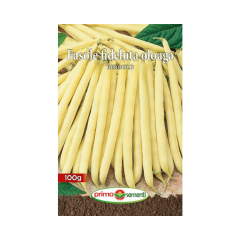 SEMINTE FASOLE OLOAGA BERGOLD 100G - PS