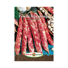 SEMINTE FASOLE OL. BORLOTTO RED 15GR - PS