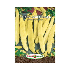 SEMINTE FASOLE OL. SUPERNANO YELLOW 20G - PS