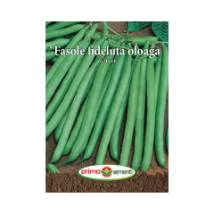 SEMINTE FASOLE OLOAGA WOTTER 15GR - PS