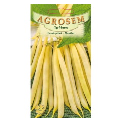 SEMINTE FASOLE PIT. GALB. MAXIDOR 100G - MS