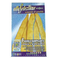 SEMINTE FASOLE URC. LATA VENEZIA A GRANO B. 500GR