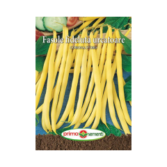 SEMINTE FASOLE URCATOARE CORONA D'ORO 10GR - PS