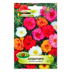 SEMINTE FLOARE DE PIATRA MIX - FL