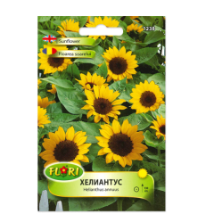 seminte_floarea_soarelui_orange_fl