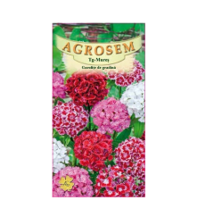 SEMINTE GAROFITA DE GRADINA MIX 0,3GR - MS