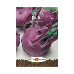 SEMINTE GULIE VIENNA PURPLE 5GR - PS