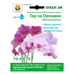 INGRASAMANT PENTRU ORHIDEE 20GR - OP