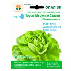 INGRASAMANT PENTRU SALATE 20GR - OP