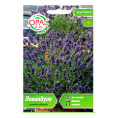 seminte_lavanda_007_op