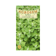 SEMINTE LOBODA DE GRADINA VERDE 0,3G - MS