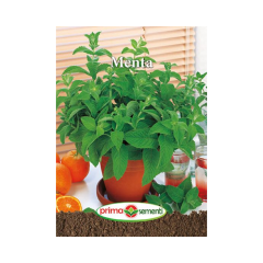 SEMINTE MENTA 0,1GR - PS