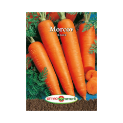 SEMINTE MORCOV FLAKKE 50G - PS