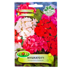 seminte_muscata_curgatoare_pelargonium_mix_fl