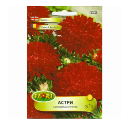 seminte_ochiul_boului_paeonia_rosu_fl