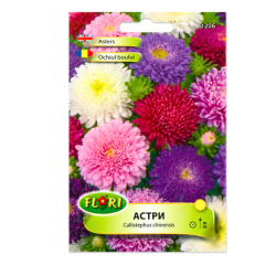 SEMINTE OCHIUL BOULUI POMPON MIX - FL