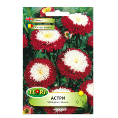 seminte_ochiul_boului_pompon_rosu_cu_alb_fl