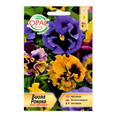 seminte_panselute_rococo_viola_033_op