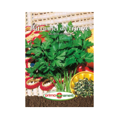 SEMINTE PATRUNJEL FRUNZE GIGANTE D'ITALIA 50G - PS