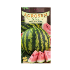 SEMINTE PEPENE VERDE DOCHITA 1G - MS