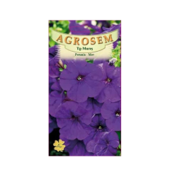SEMINTE PETUNIA MOV 0,05GR - MS