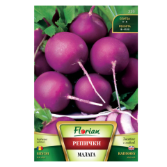 SEMINTE RIDICHI MALAGA VIOLET 5GR - FL
