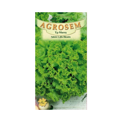 SEMINTE SALATA LOLLO BIONDA 1,5GR - MS