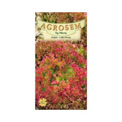 SEMINTE SALATA LOLLO ROSSA 1GR - MS