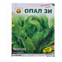 SEMINTE SALATA NEAGRA 2GR - OP