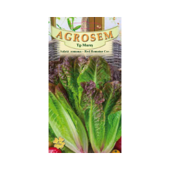 SEMINTE SALATA ROMANA-RED ROMAINE 1GR - MS
