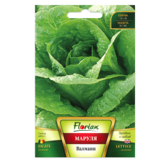 SEMINTE SALATA VALMAINE 2GR - FL