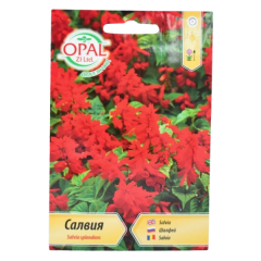 SEMINTE SALVIA DE GRADINA ROSIE 071 - OP