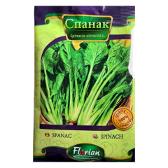 SEMINTE SPANAC CU FRUNZE MARI DE IARNA 100GR - FL