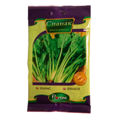SEMINTE SPANAC CU FRUNZE MARI DE IARNA 500GR - FL