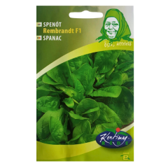 SEMINTE SPANAC REMBRANDT F1 3GR GB - KE
