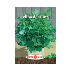 SEMINTE TELINA DE FRUNZE 1,5GR - PS