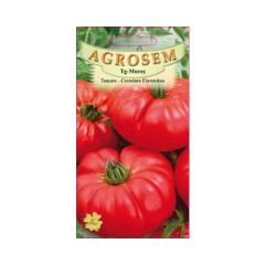 SEMINTE TOMATE COSTOLUTO FIORENT 0,4GR - MS