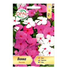 seminte_vinca_031_op
