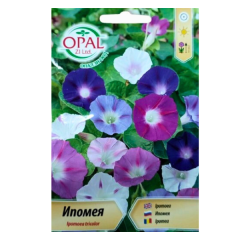 SEMINTE ZORELE IPOMEA MIX 048 - OP
