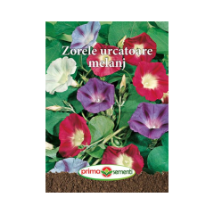 SEMINTE ZORELE 1G - PS