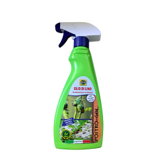 SPRAY INSECTICID CU ULEI DE IN 500ML - SP