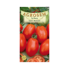 SEMINTE TOMATE RIO GRANDE 0,5GR - MS