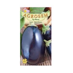 SEMINTE VINETE BLACK BEAUTY 2GR - MS